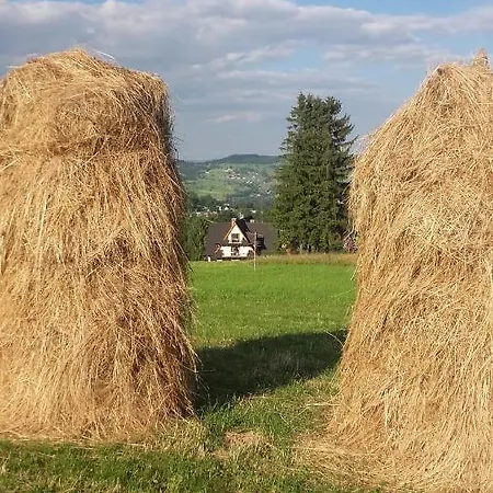 Privatunterkunft Goralskie Klimaty *